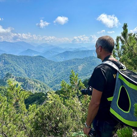 Almresort Baumschlagerberg Vorderstoder Dış mekan fotoğraf