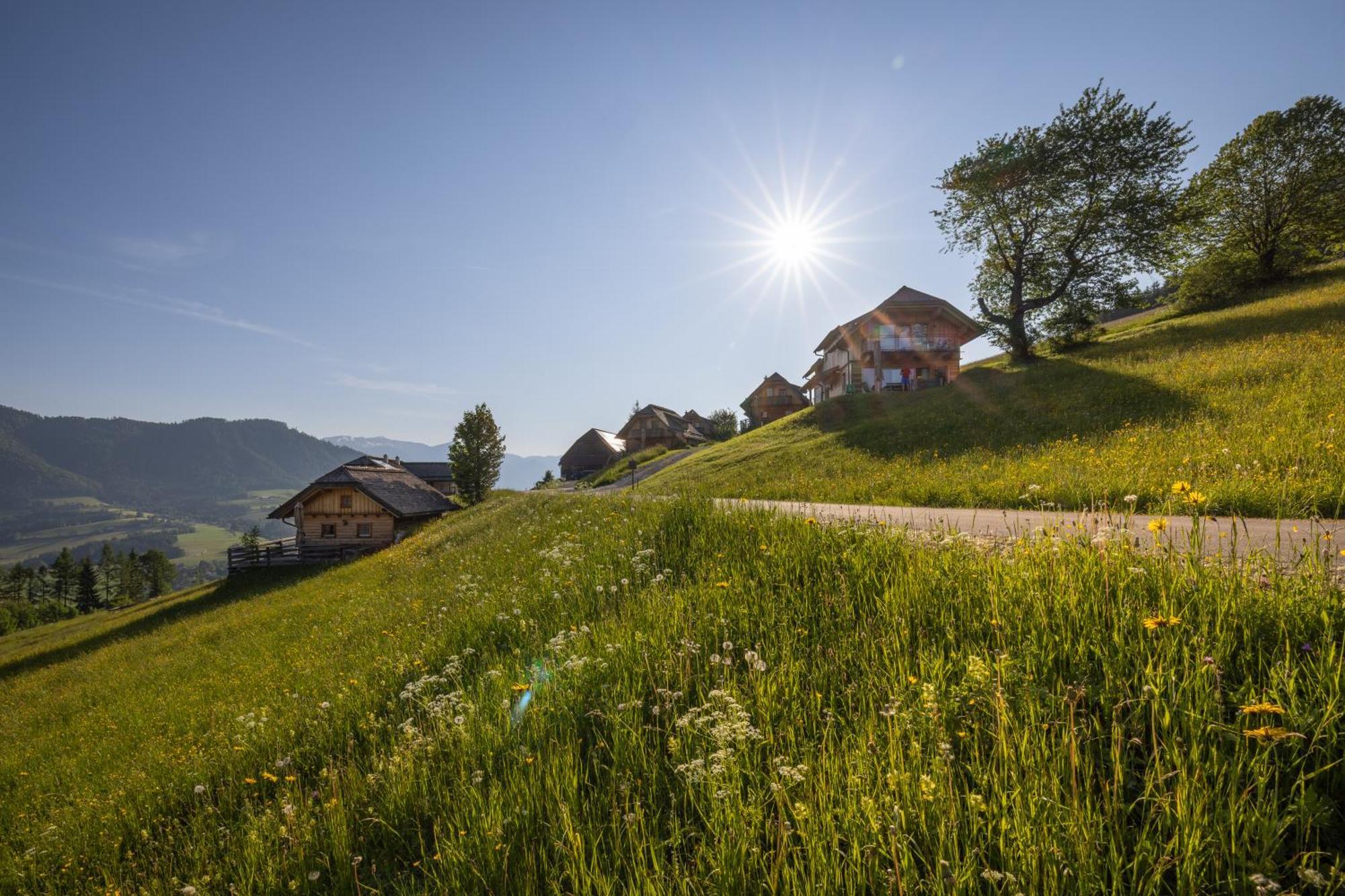 Almresort Baumschlagerberg Vorderstoder Dış mekan fotoğraf